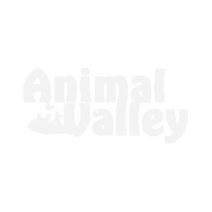 Cage De Transport Cabrio Pour Chat Rouge Cerise Catit Animal Valley